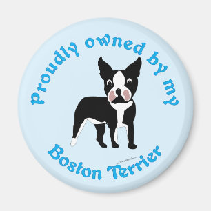 Stolz im Besitz eines Boston Terrier Magnet