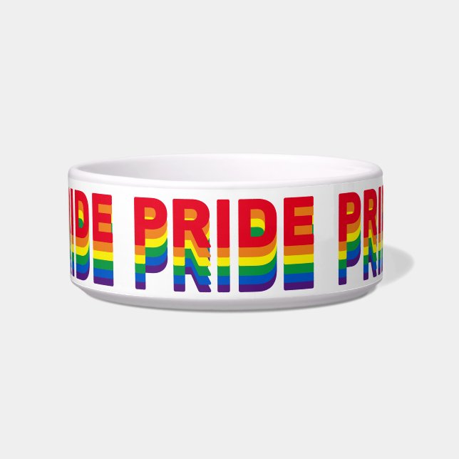 Stolz lgbtq quee Gay Regenbogen-Retrofarben Napf (Vorderseite)