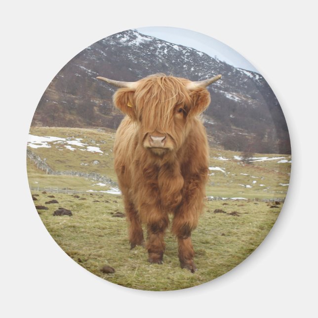 Stolz, Schottin zu sein! Magnet (Vorne)