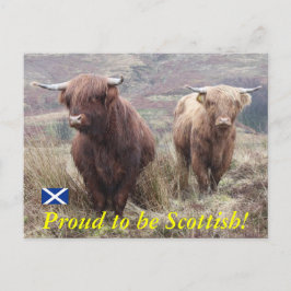 Stolz, Schottin zu sein! Postkarte