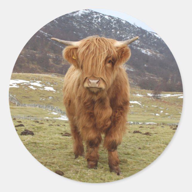 Stolz, Schottin zu sein! Runder Aufkleber (Vorderseite)