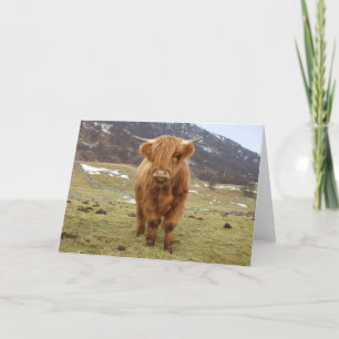 Stolz, schottisch zu sein! karte