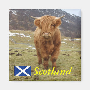 Stolz, schottisch zu sein! magnet