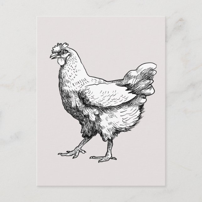 Stolz wenig Henne! Postkarte (Vorderseite)