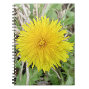 Stolze Dandelion-Blume. Notizblock
