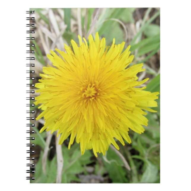 Stolze Dandelion-Blume. Notizblock (Vorderseite)