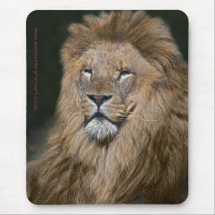 Stolze Löwen-Mausunterlage Mousepad