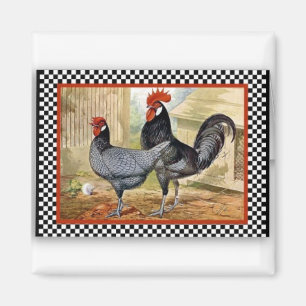 Stolze Rooster Magnet