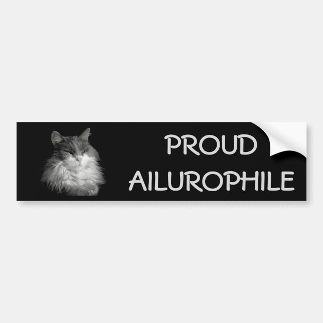 Stolzer Ailurophile (Katzen-Liebhaber) Maine Autoaufkleber (Vorne)