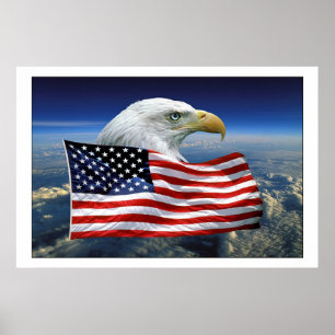 Stolzer Amerikaner Eagle Poster