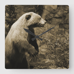 Stolzer Bär Quadratische Wanduhr