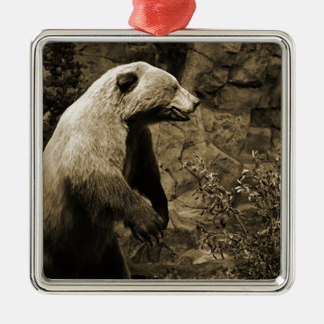 Stolzer Bär Silbernes Ornament (Vorne)