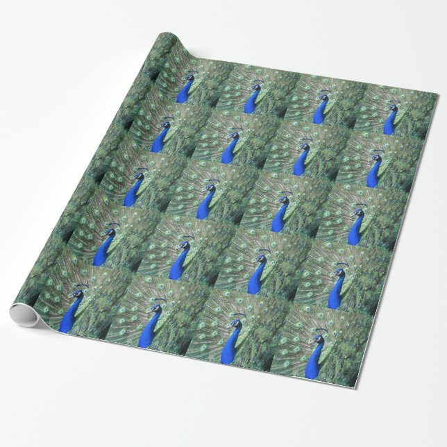 Stolzer Pfau Geschenkpapier (Ungerollt)
