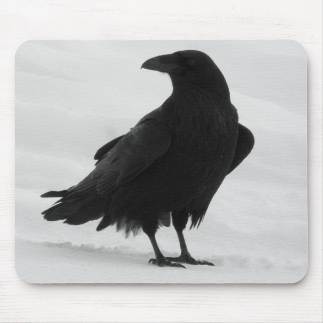 Stolzer Rabe Mousepad (Vorne)