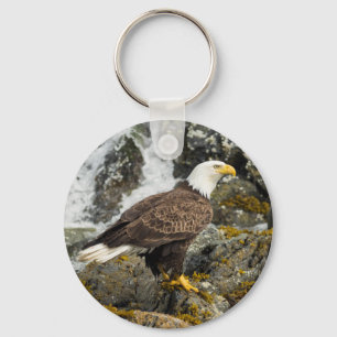 Stolzer Weißkopfseeadler Schlüsselanhänger