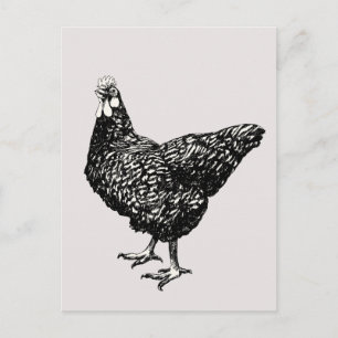 Stolzes kleines Huhn! Postkarte