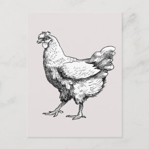 Stolzes kleines Huhn! Postkarte