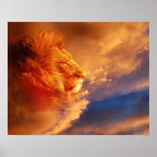 Stolzes Löwegesicht in den Sonnenuntergangwolken Poster