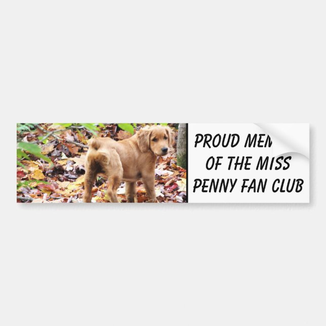 Stolzes Mitglied des Miss Penny Fan Clubs. Autoaufkleber (Vorne)
