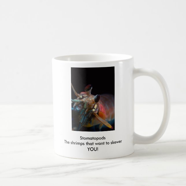 Stomatopods die Garnelen, die wollen, um SIE Kaffeetasse (Rechts)