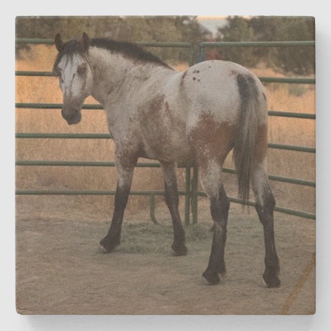 Stone Coaster_appy backside  Steinuntersetzer (Vorderseite)