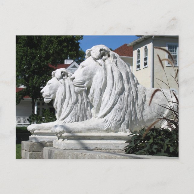 Stone Lions Postkarte (Vorderseite)