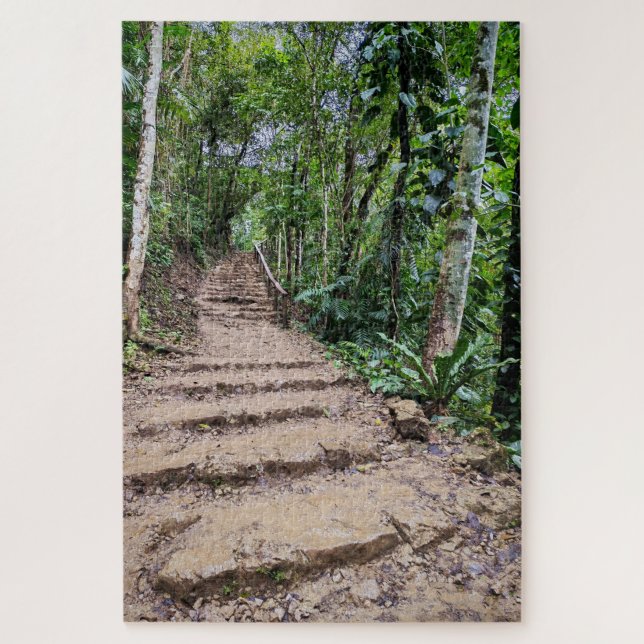 Stone Steps Through Green (Vertikal)