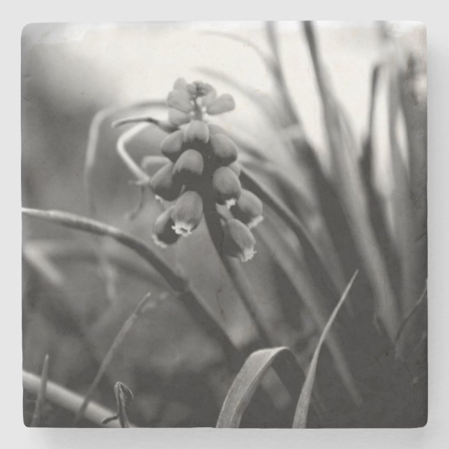 Stone Untersetzer (Vorderseite)