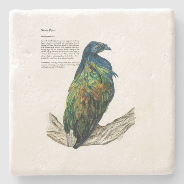 Stone Untersetzer (Vorderseite)