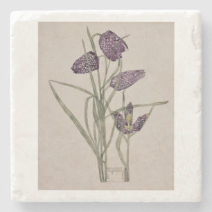 STONE UNTERSETZER : CHARLES RENNIE MACKINTOSH : 19
