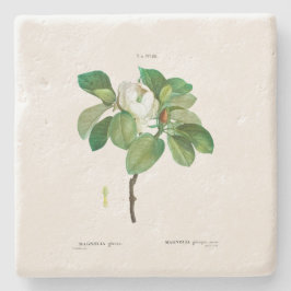 STONE UNTERSETZER: MAGNOLIA: REDOUTÉ STEINUNTERSETZER