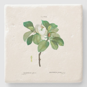 STONE UNTERSETZER: MAGNOLIA: REDOUTÉ STEINUNTERSETZER