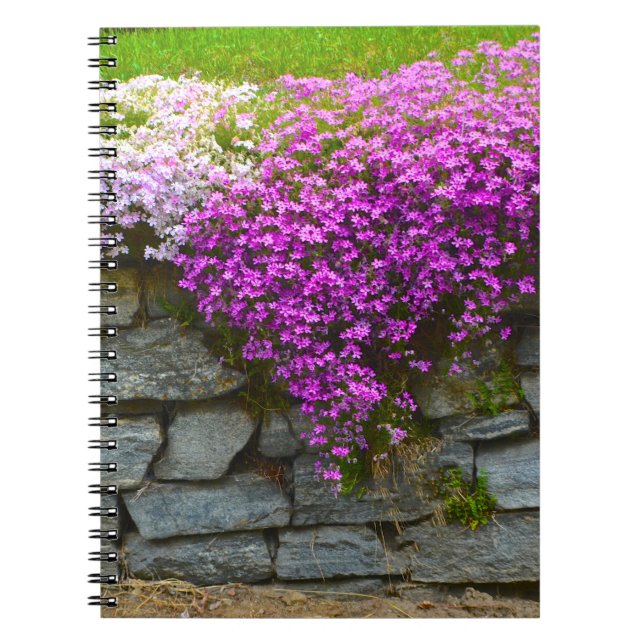 Stone Wall & Phlox Notebook Notizblock (Vorderseite)
