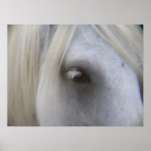 Stonecreek Bauernhof fiel Ponys - Alyssum-Auge des Poster