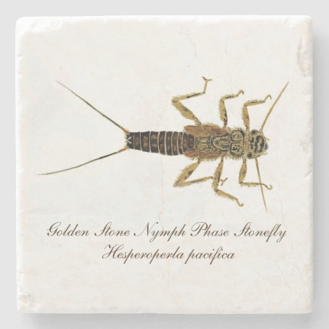 Stonefly-Nymphen-Untersetzer Steinuntersetzer (Vorderseite)