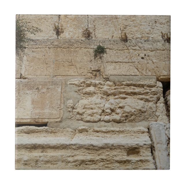 Stones Kotel Western Wall Jerusalem Fliese (Vorderseite)