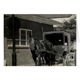 Stop for A Spell, Amish Horse at Stop Sign