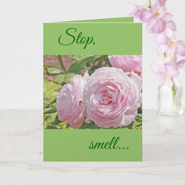 "STOP...RIECH...UND ERINNERE DICH AN DIE SÜßE DER  KARTE (Orchidee)