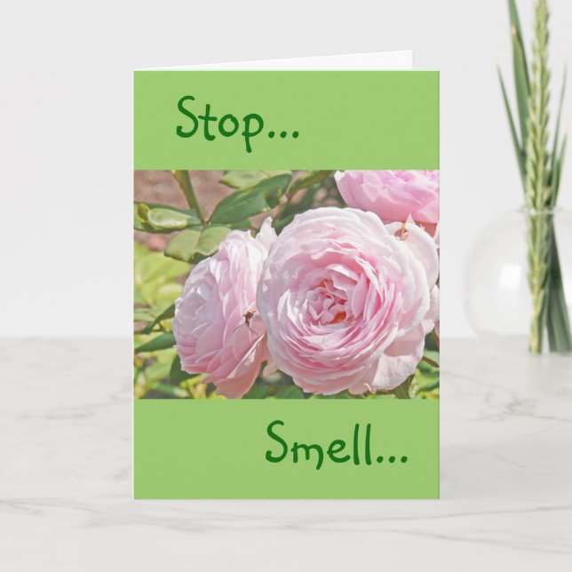"STOP...SMELL... UND ERINNERN SIE SICH AN DIE SCHW KARTE (Vorderseite)