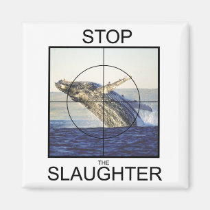 Stopp der Schlachtung von Walen Magnet
