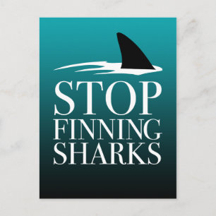 STOPP FINNING SHARKS POSTKARTE