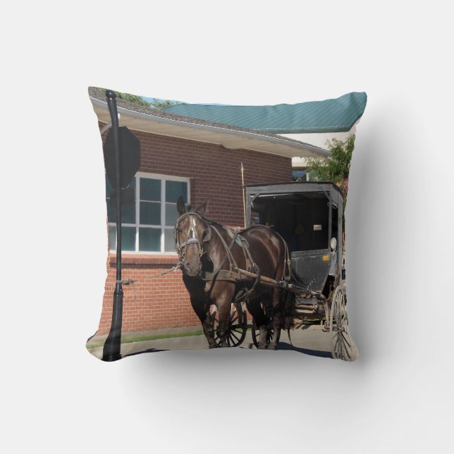 Stopp für einen Zauber, Amish Buggy Pferd Kissen (Vorderseite)