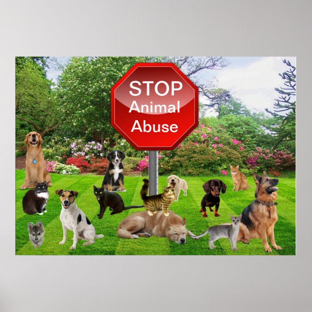 Stoppen des Tiermissbrauchs-Poster Poster (Vorne)
