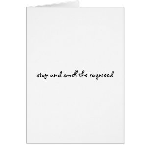 stoppen Sie und riechen Sie den Ragweed