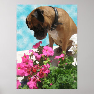 Stoppen Sie und riechen Sie die Blumen Poster