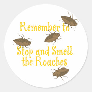 Stoppen und riechen der Roaches Runder Aufkleber