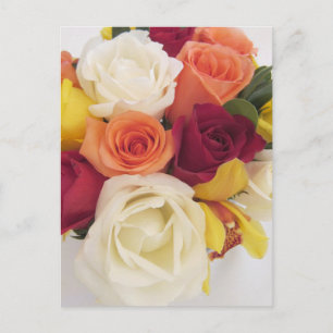 Stoppen und Riechen der Rose Postkarte