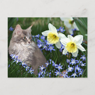 Stoppen und riechen Sie die Blume Postkarte