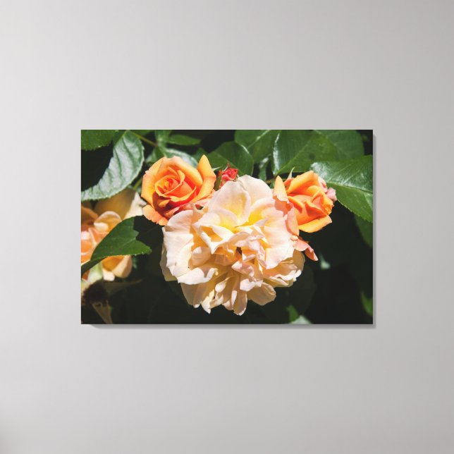 Stoppen und riechen Sie die Rose Leinwanddruck (Vorderseite)
