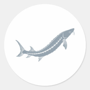 Stör-Fische Runder Aufkleber